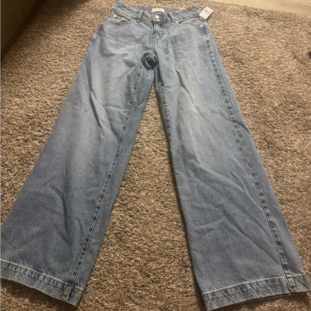 PacSun casey low rise baggy wide leg